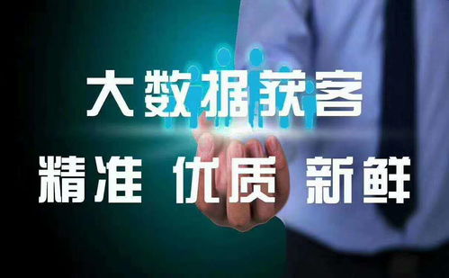 大數(shù)據(jù) 洞察未來(lái)的核心驅(qū)動(dòng)力與數(shù)據(jù)處理服務(wù)解析