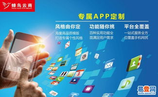 廈門網(wǎng)站開發(fā)與軟件定制 漳州易登網(wǎng)的專業(yè)外包服務(wù)解讀